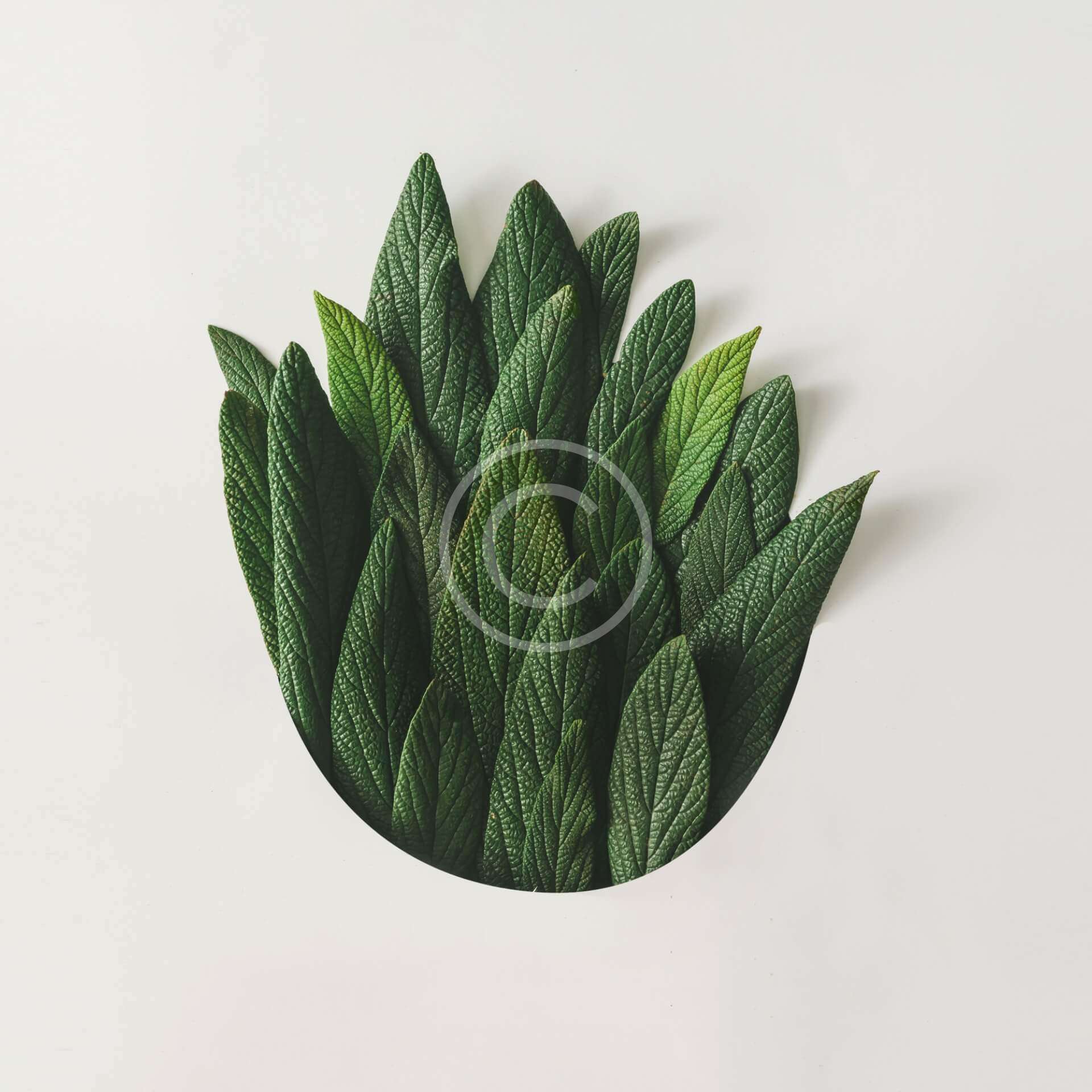 Florist Supplies